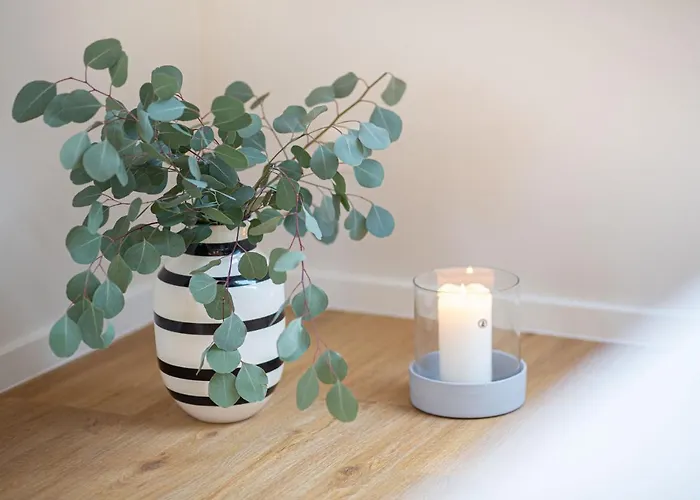 شقة Achterdoern *